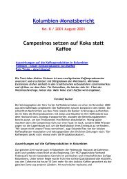 Kolumbien-Monatsbericht Campesinos setzen auf Koka statt Kaffee