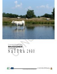 Conceptbeheerplan Maasduinen - Natura 2000 beheerplannen