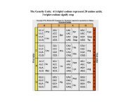 The Genetic Code: 61 triplet codons represent 20 amino acids; 3 ...