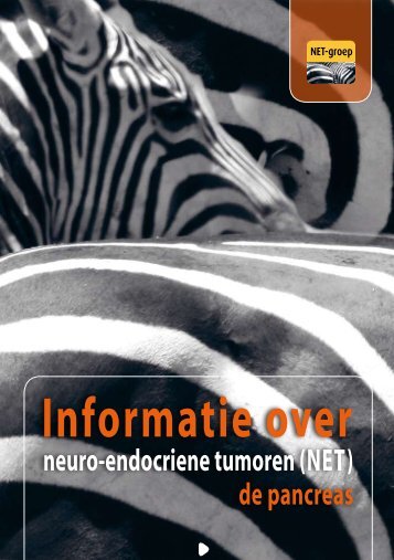 Informatie over - NET-Groep