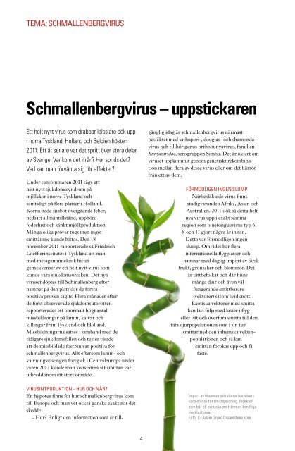 SVAvet nr 1 2013 Tema: Schmallenbergvirus
