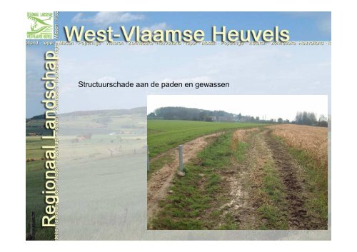 Dirk Cuvelier (Regionaal Landschap West-Vlaamse Heuvels)