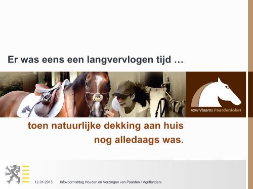 Presentatie Peter Daels - Vlaams Paardenloket