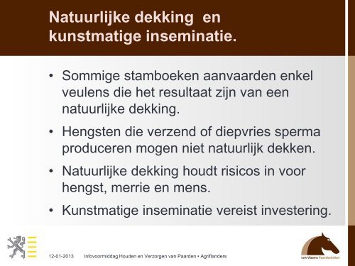 Presentatie Peter Daels - Vlaams Paardenloket