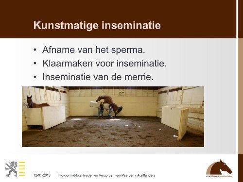 Presentatie Peter Daels - Vlaams Paardenloket