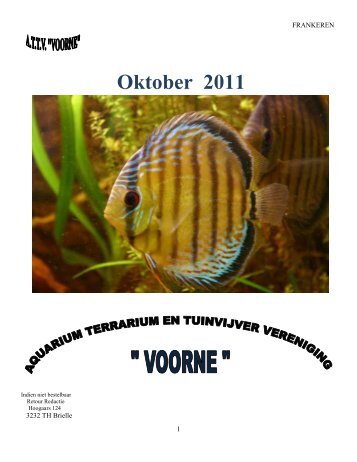 Oktober 2011 - Aquariumvereniging Voorne