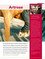 Artrose - Dierenartsenpraktijk Moergestel