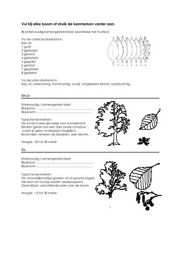 Vul bij elke boom of struik de kenmerken verder ... - LPM Kids kamp