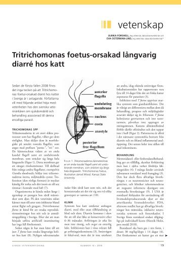 Svensk Veterinärtidning nr 13 2010 - SVA