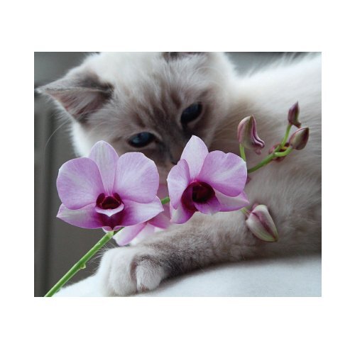 Läs ett provkapitel här