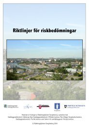 Riktlinjer för riskbedömningar - Räddningstjänsten Storgöteborg