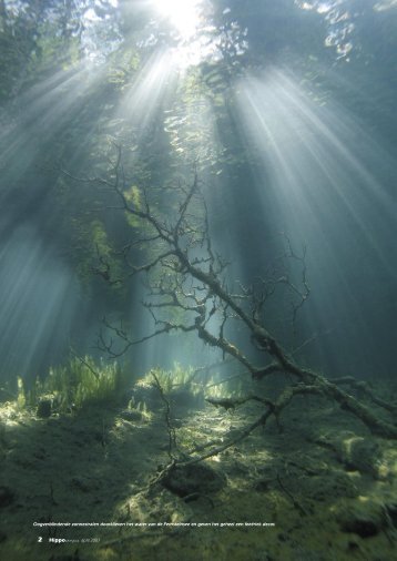 Duiken aan de Fernpas in Tirol - Filip Staes Fotografie