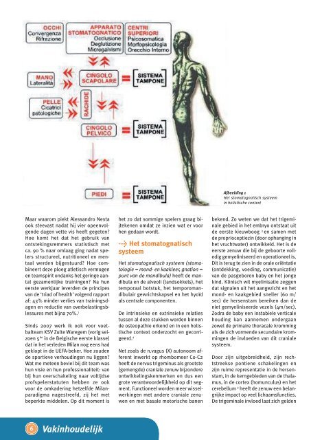 • Het belang van het stomatognatisch systeem in het topvoetbal ...