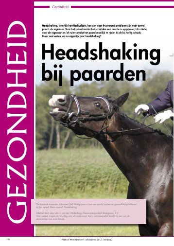 Foto - paarden - DAP Bodegraven