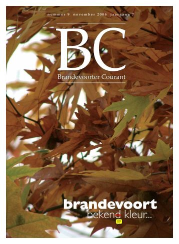 brandevoort - BCSERVER