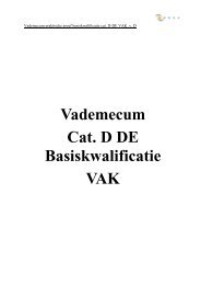 Vademecum Cat. D/DE - Basiskwalificatie - VAK