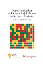 PDF: Vårdrapport