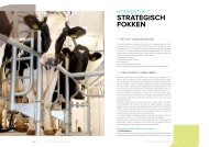 STRATEGISCH FOKKEN - CRV