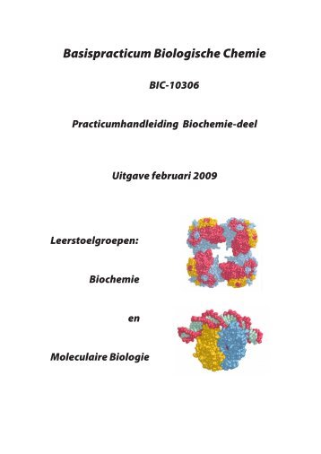 Basispracticum Biologische Chemie - Biochemistry