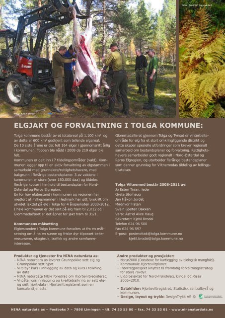 sett elg - Tolga kommune