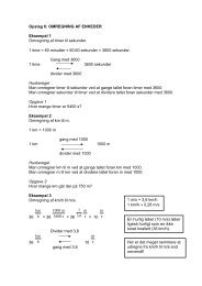 OMREGNING AF ENHEDER - Elevunivers