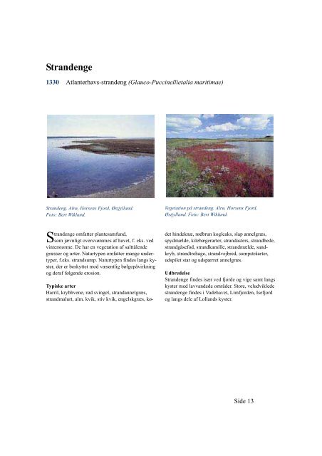 Rapport - Danmarks nationalparker