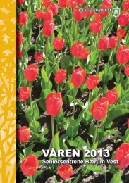 VÅREN 2012 VÅREN 2013 - Bærum kommune