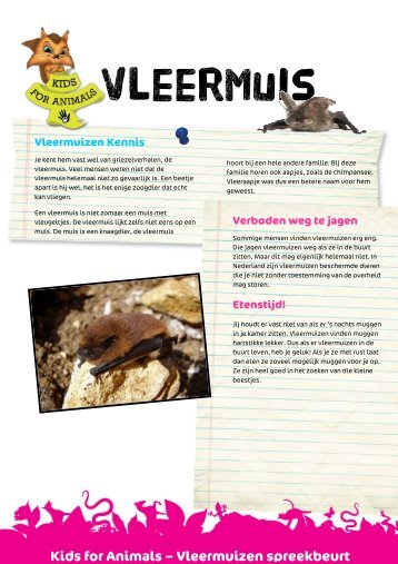 Kids for Animals – Vleermuizen spreekbeurt