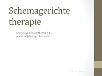 Schemagerichte therapie - RINO-support