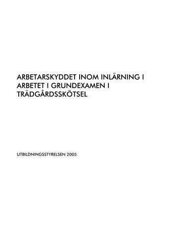 arbetarskyddet inom inlärning i arbetet i grundexamen i ...