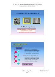 fundamentos de adsorción