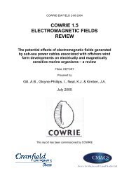 COWRIE 1.5 ELECTROMAGNETIC FIELDS REVIEW