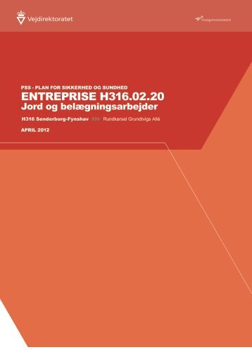 PSS_H316_02_20.pdf - Vejdirektoratet
