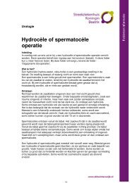 Hydrocèle of spermatocèle operatie - Streekziekenhuis Koningin ...