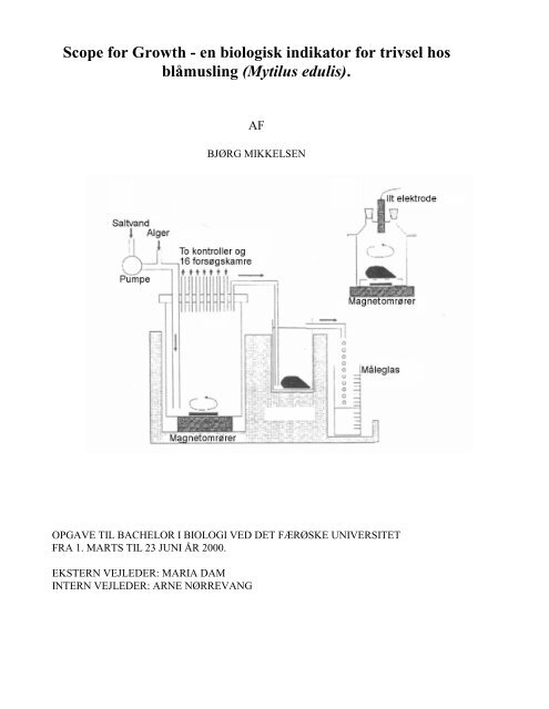 Scope for Growth - en biologisk indikator for trivsel hos blåmusling ...