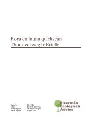 Bijlage 3 Quickscan flora en fauna - Planviewer