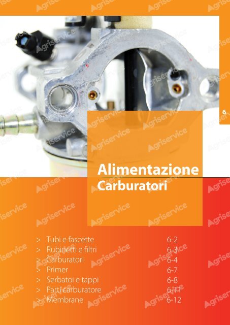 alimentazione e carburatori - Agriservice