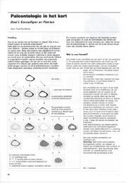 Paleontologie in het kort Deel I. Eencelligen en Planten