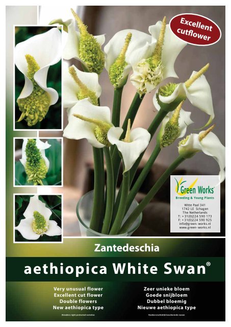 Catalogus Pioenen 2013 (pdf) - Green Works