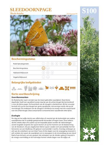 SLEEDOORNPAGE - Regionaal Landschap Groene Corridor (RLGC)