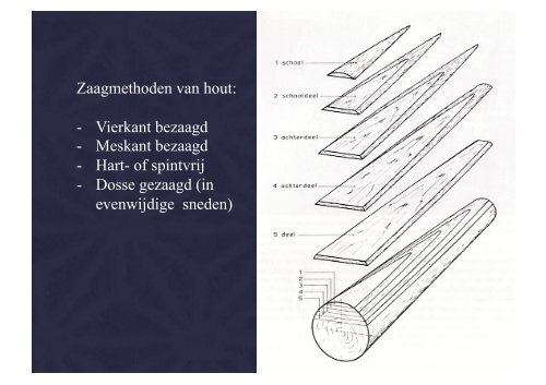 hout 2 (pdf) - Jacob Alkema