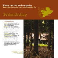 Boslandschap (pdf) - Gemeente Ede