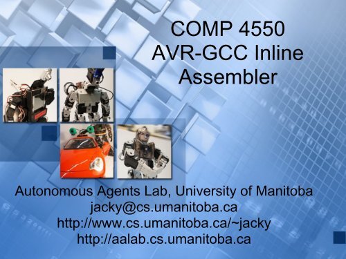 AVR-GCC Inline Assembler