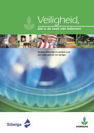 Brochure gas en veiligheid (668.47 KB) - Sibelga