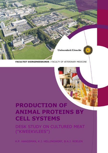 production of animal proteins by cell systems - New Harvest