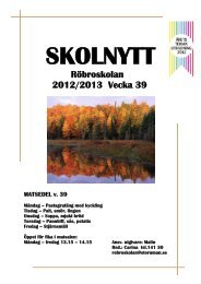 SKOLNYTT 12 v 39 - Storumans skolor