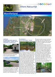 Montferland - Vitens