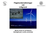 Kontrollprogram fåglar Martin Green, LU (PDF 3816 kB) - Vattenfall