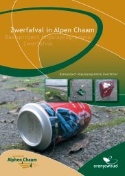 eindrapport - Gemeente Alphen-Chaam