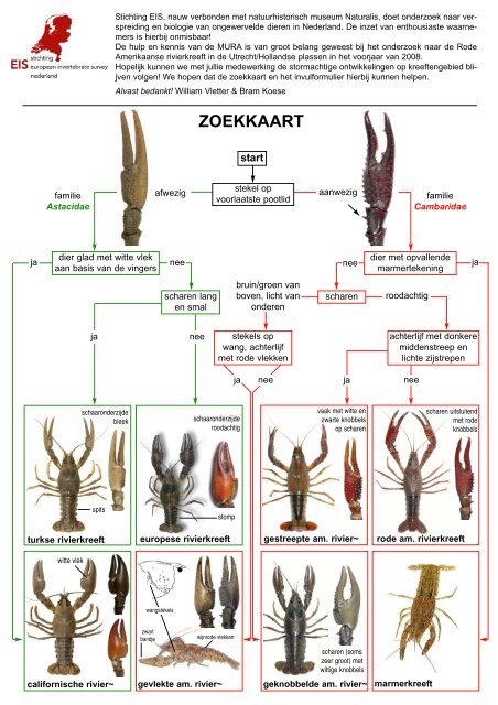 ZOEKKAART - Vnv